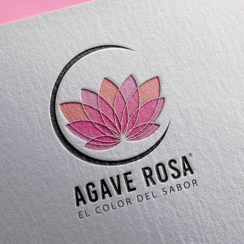 AXi Studios - Branding Portfolio 5